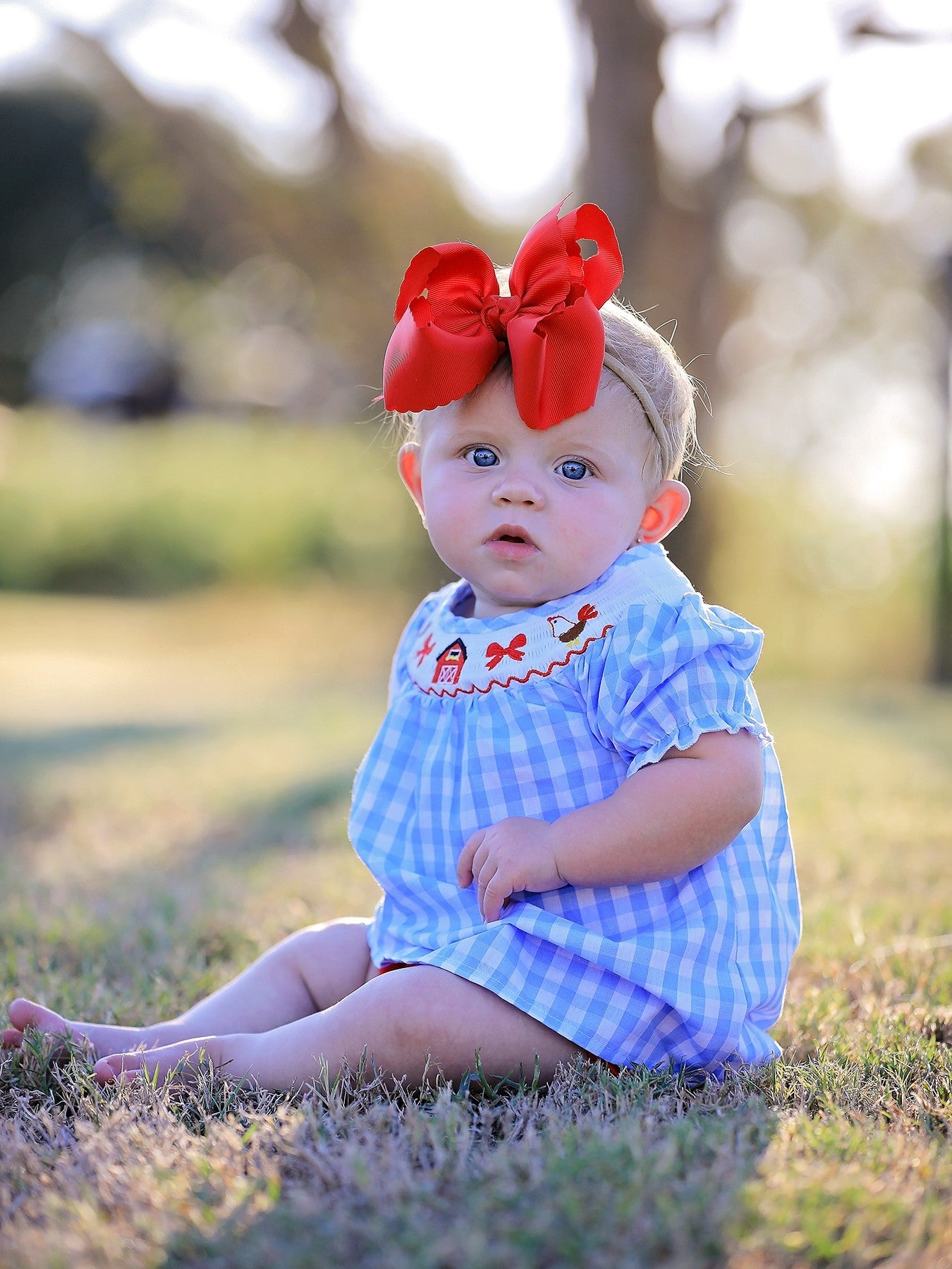 Farm Smocking Embroidered Girls Outfits