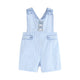 Blue Seersucker Bunny Shortalls